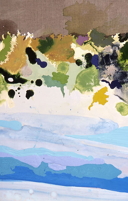 Unraveled_shoreline_detail