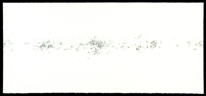 Settles_1