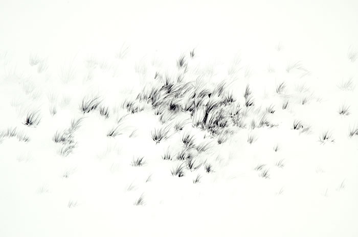 Settles_2