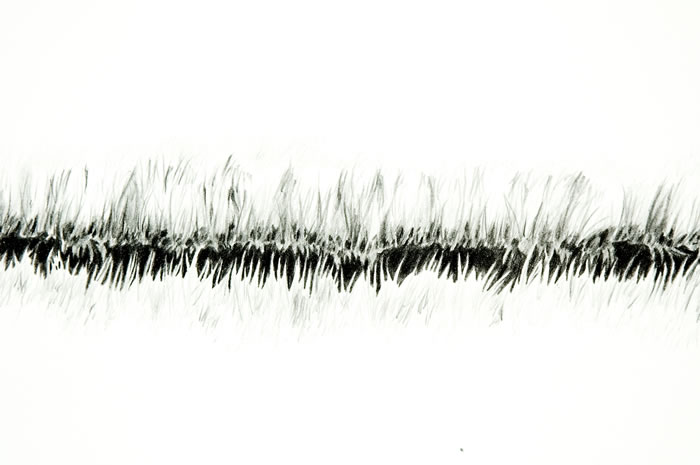 Settles_4