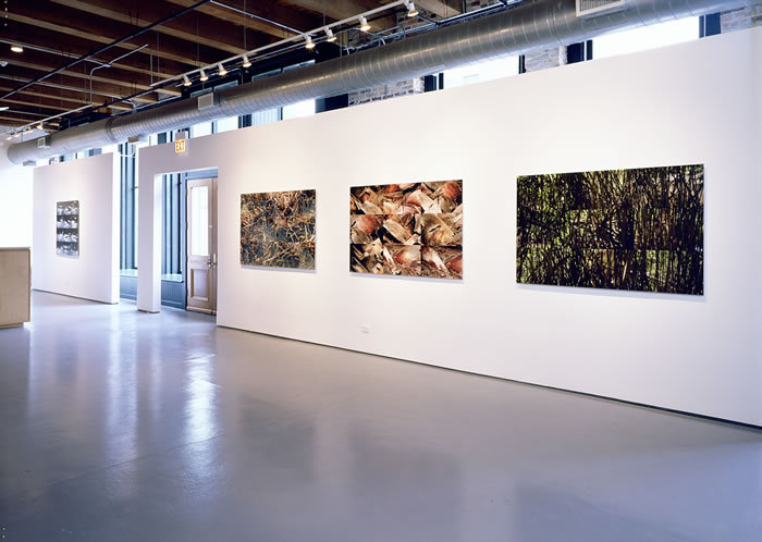 Gallery_view_1