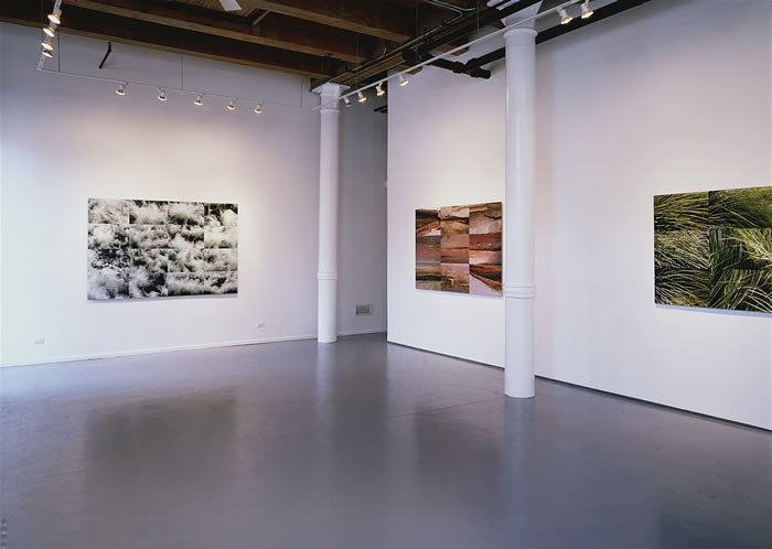 Gallery_view_4