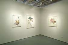 Installation_12