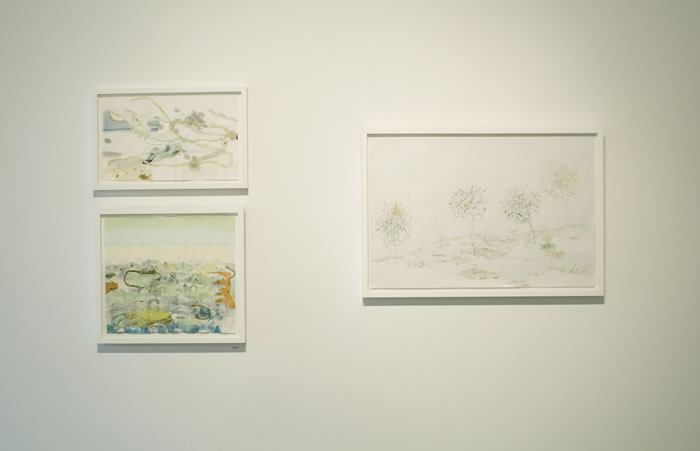 Installation_8