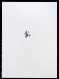 Sg0585