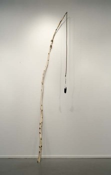 Sg0611