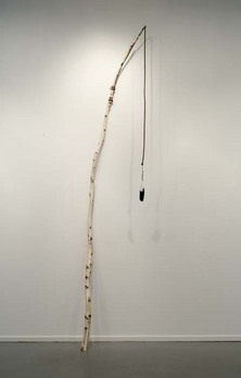 Sg0611