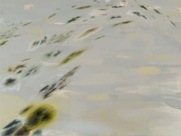 Landings_2