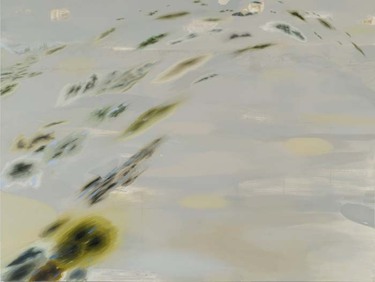 Landings_2