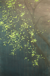Spring_tree