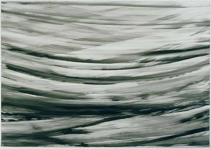 Untitled_inv_13