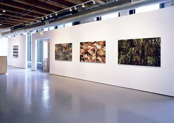 Hp_gallery_view